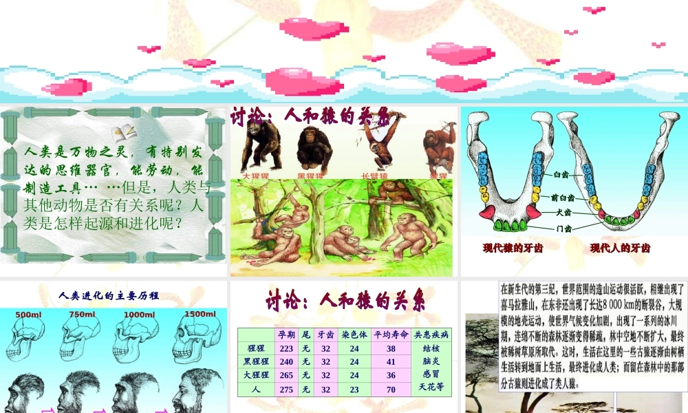 人类的起源和进化