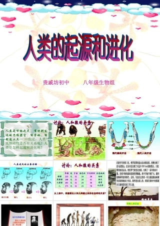 人类的起源和进化