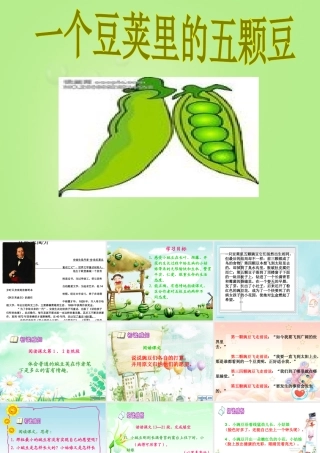 一个豆荚里的五粒豆