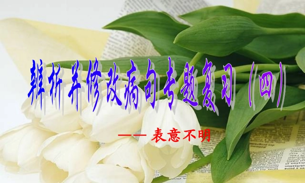 辨析并修改病句之表意不明