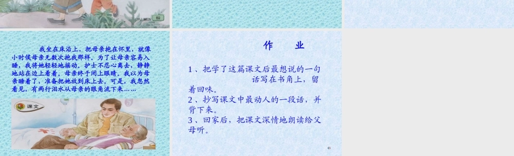 13-2《第一次抱母亲》课件PPT