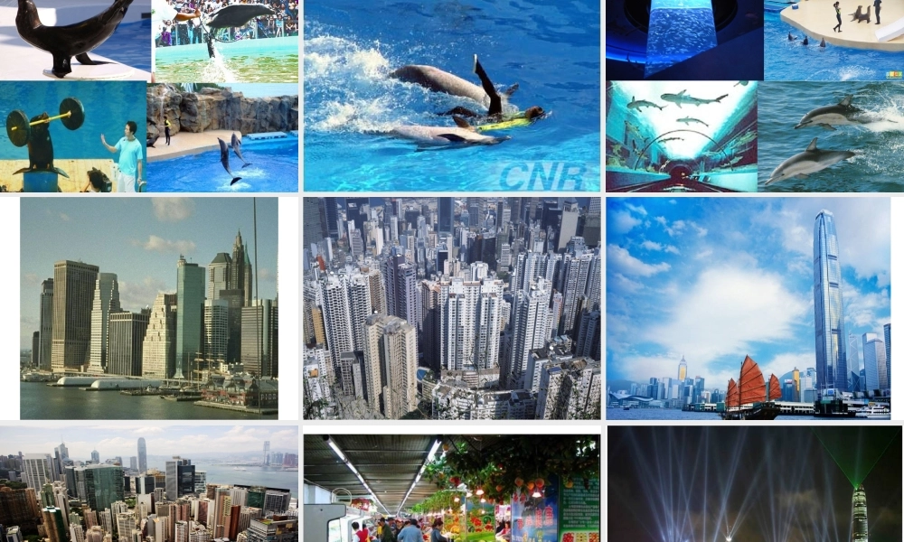 《东方之珠》第一课时PPT课件