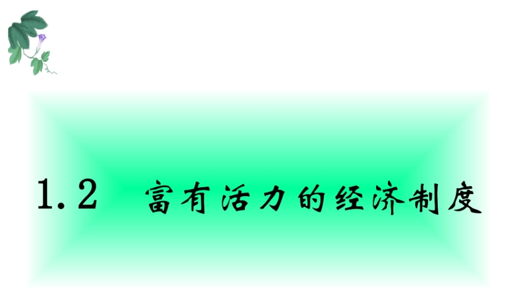 《1.2-富有活力的经济制度》课件1