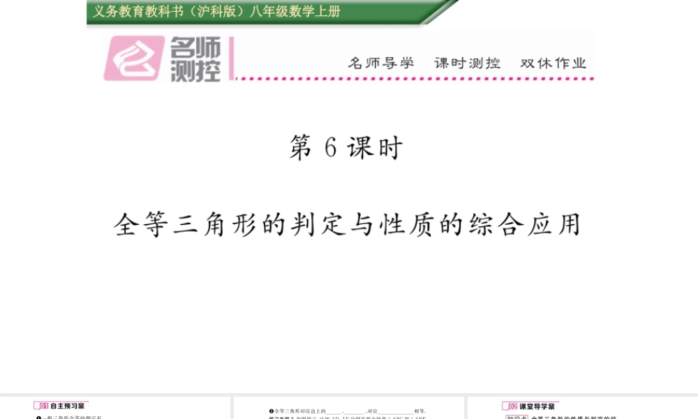 AAS.2.6全等三角形的判定与性质的综合应用练习题及答案课件
