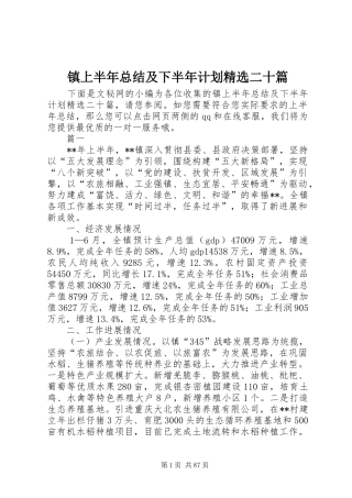 镇上半年总结及下半年计划精选二十篇