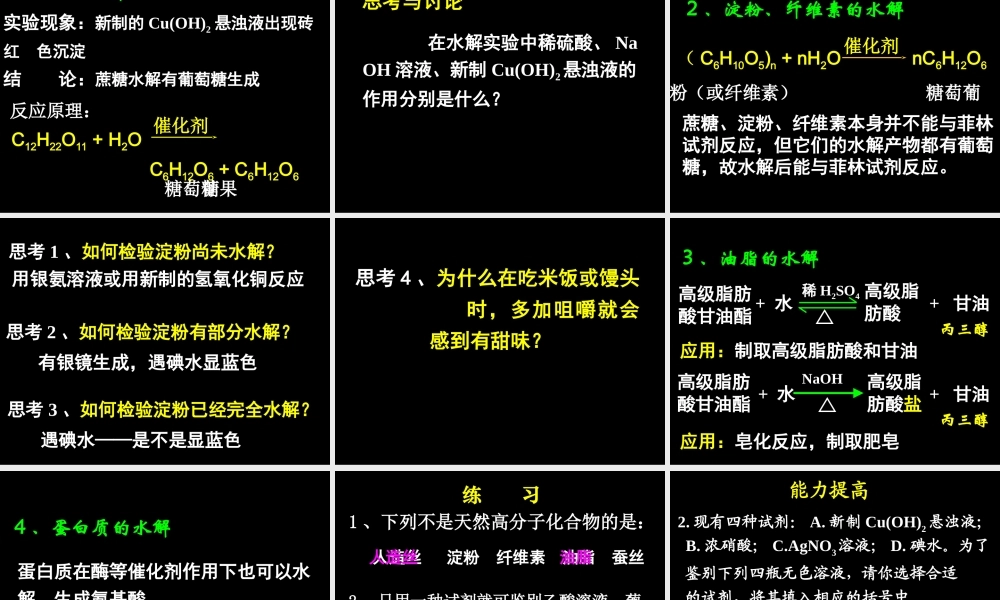 基本营养物质(新人教版)