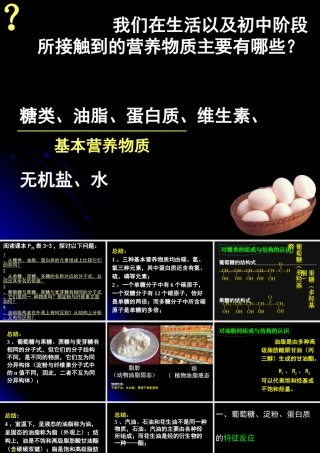 基本营养物质(新人教版)