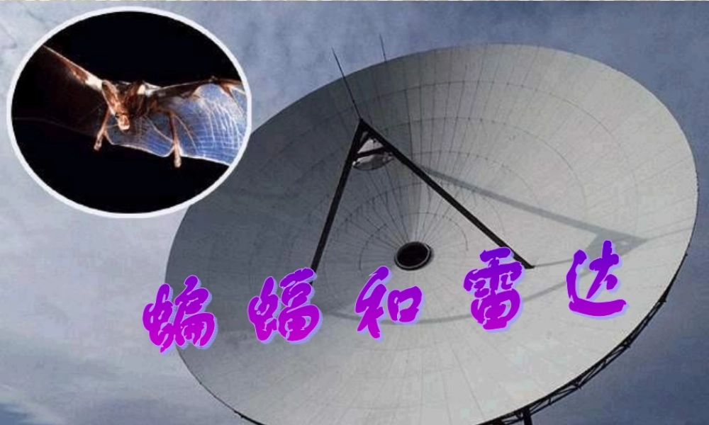 人教版语文四《蝙蝠和雷达》课件