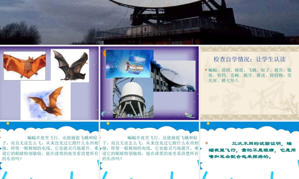 人教版语文四《蝙蝠和雷达》课件