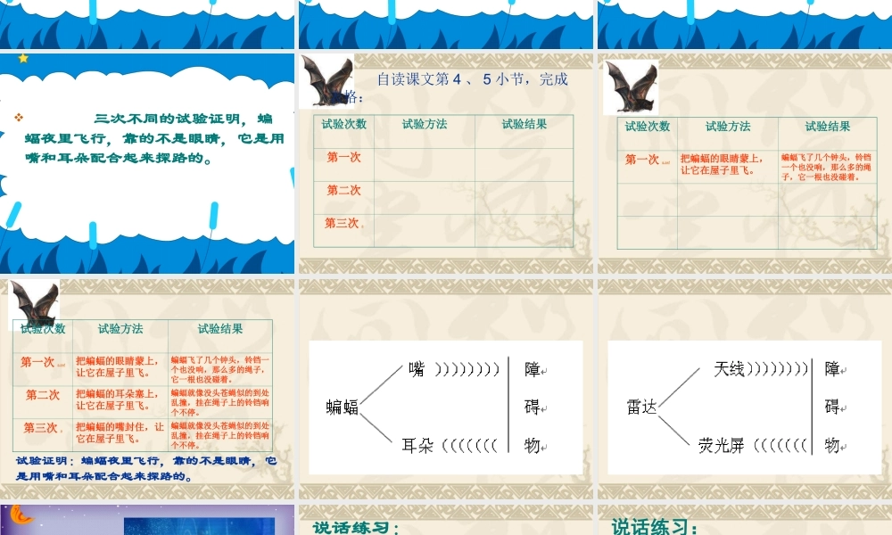 人教版语文四《蝙蝠和雷达》课件