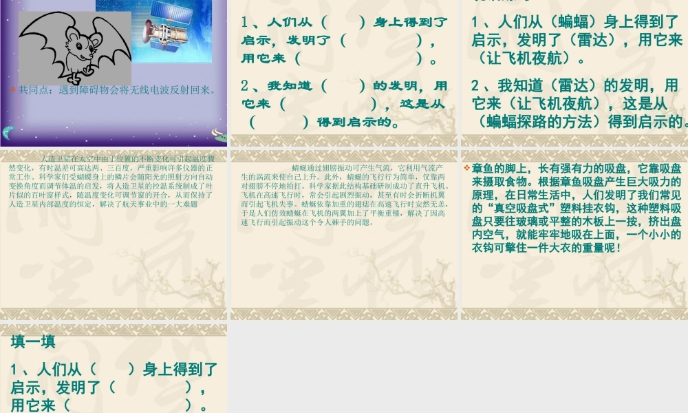 人教版语文四《蝙蝠和雷达》课件