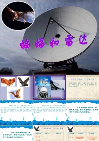 人教版语文四《蝙蝠和雷达》课件