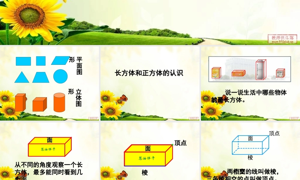 五年级数学长方体和正方体的认识ppt