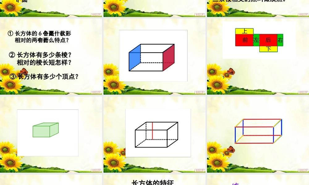 五年级数学长方体和正方体的认识ppt