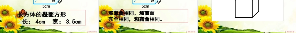 五年级数学长方体和正方体的认识ppt