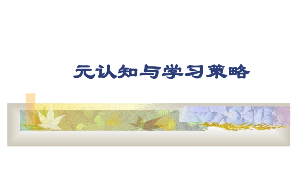 元认知与学习策略