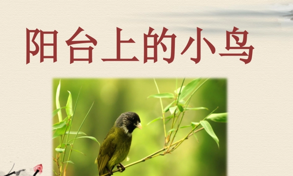 《阳台上的小鸟》课件2
