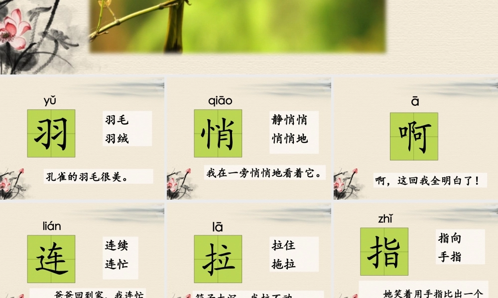 《阳台上的小鸟》课件2