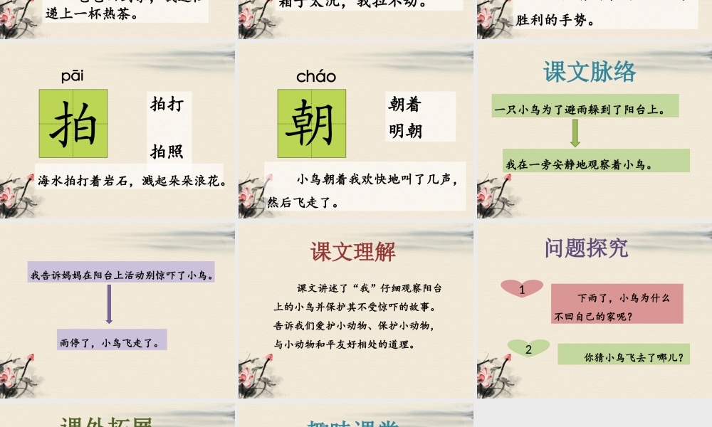 《阳台上的小鸟》课件2