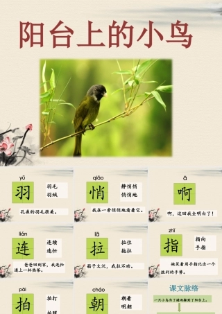 《阳台上的小鸟》课件2