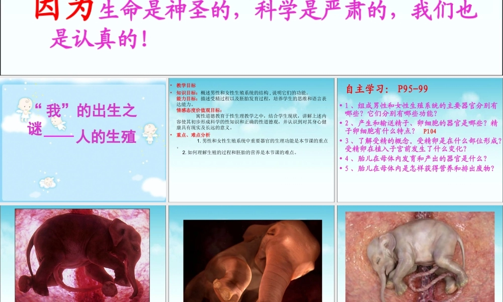 科学家的故事-施莱登、施旺与细胞学说