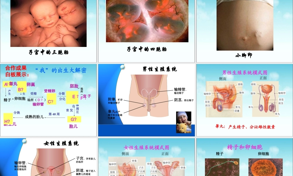 科学家的故事-施莱登、施旺与细胞学说