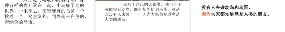 二年级语文《鸟岛》
