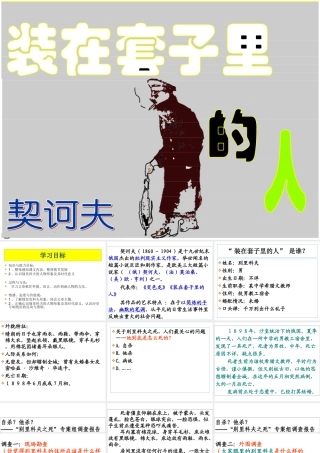 装在套子里的人2