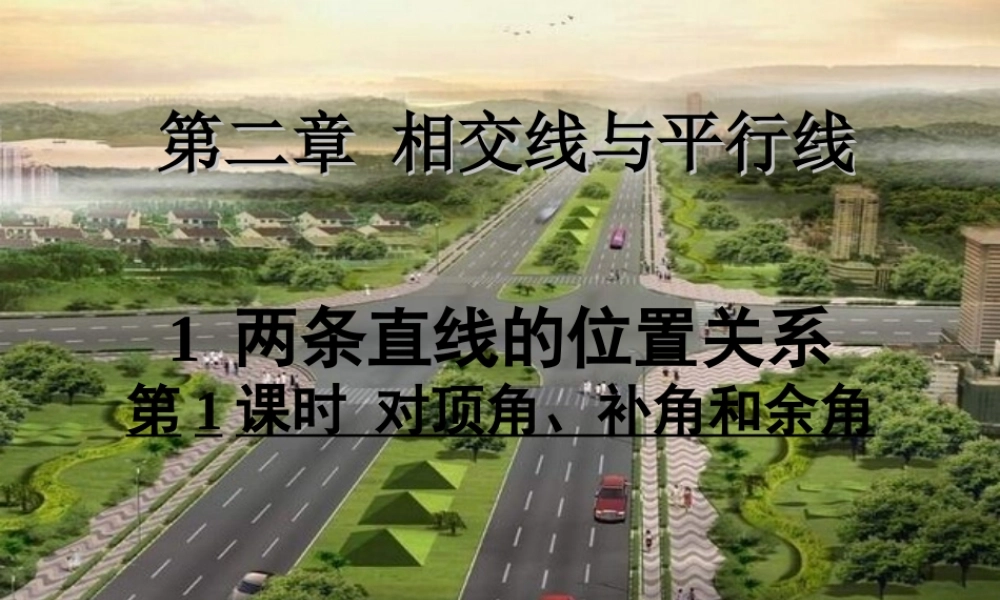 两条直线的位置关系第一课时