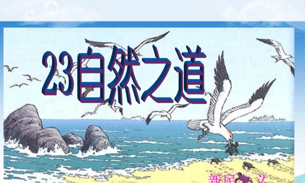 小学语文S版六年级上册《自然之道》PPT