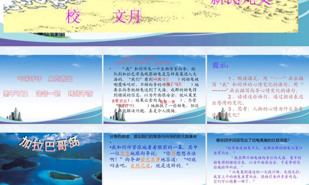 小学语文S版六年级上册《自然之道》PPT