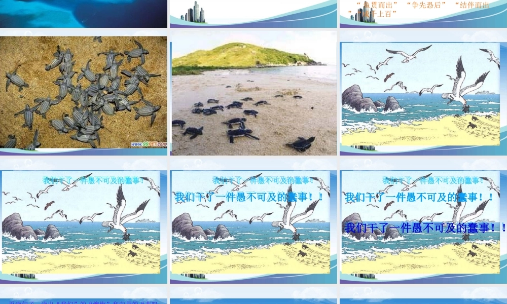 小学语文S版六年级上册《自然之道》PPT