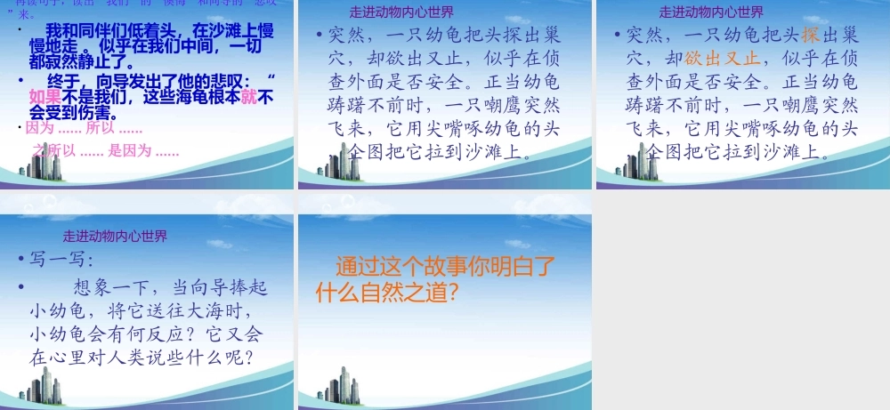 小学语文S版六年级上册《自然之道》PPT