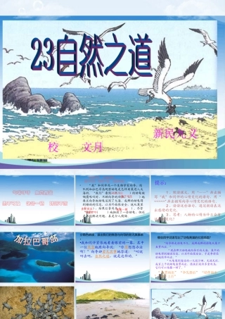 小学语文S版六年级上册《自然之道》PPT