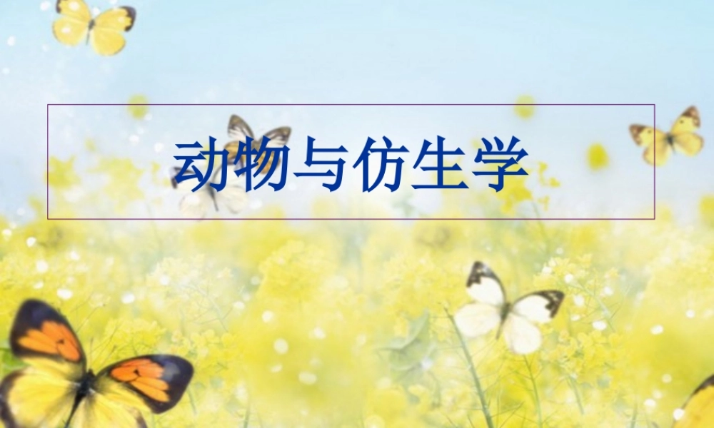 科学·技术·社会-动物与仿生