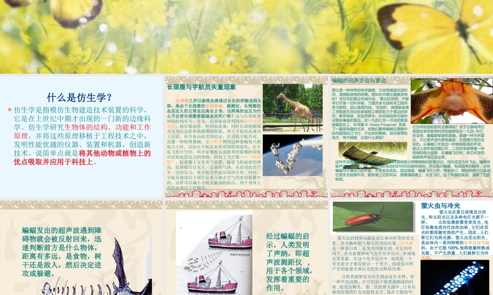 科学·技术·社会-动物与仿生