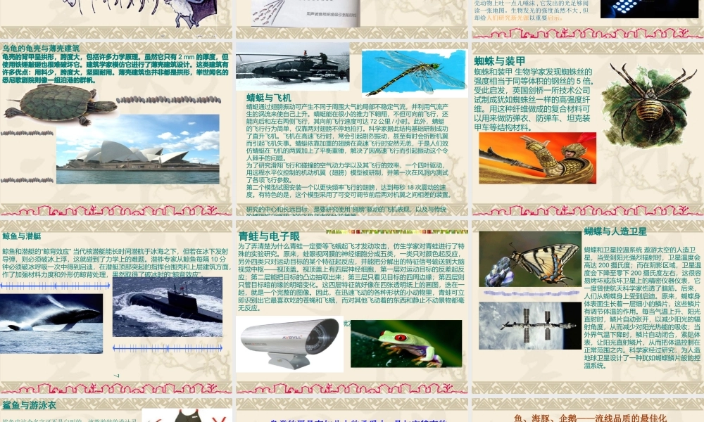 科学·技术·社会-动物与仿生