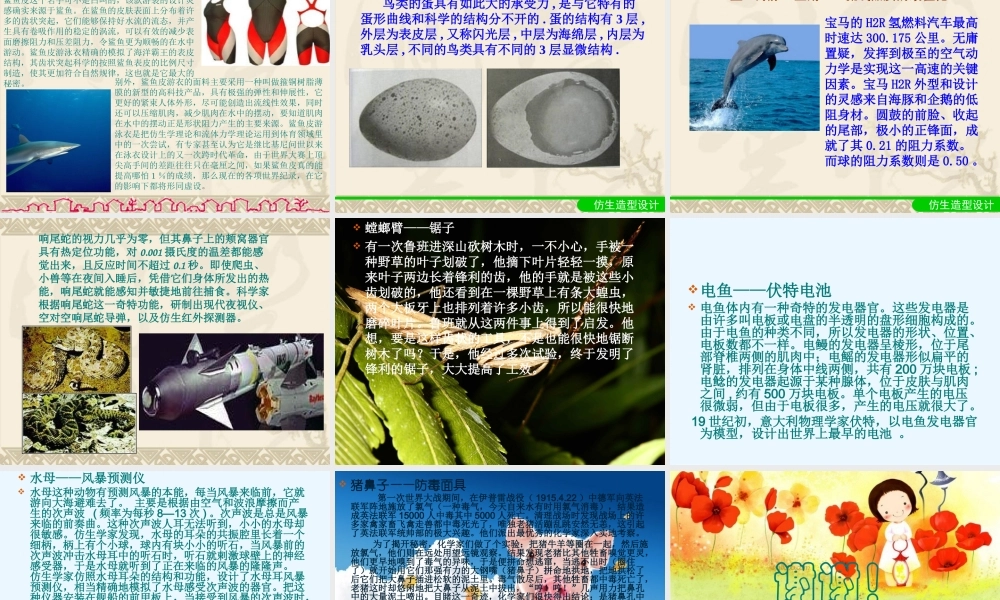 科学·技术·社会-动物与仿生