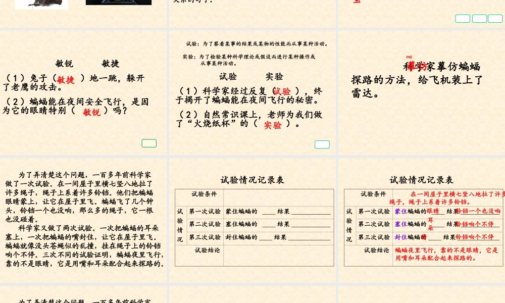 26-蝙蝠和雷达-(2)