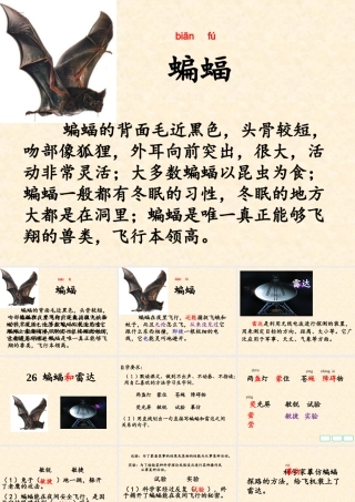 26-蝙蝠和雷达-(2)