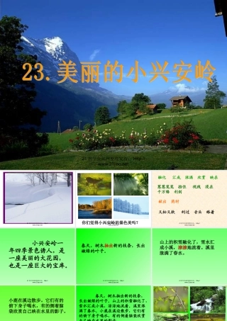 美丽的小兴安岭PPT课件-(4)