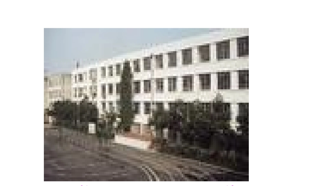 人教版小学语文课件操场上