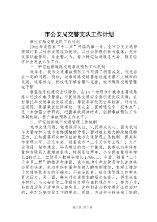 市公安局交警支队工作计划