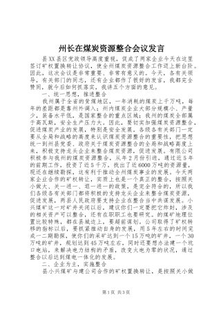 州长在煤炭资源整合会议发言
