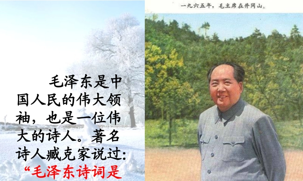 沁园春雪(教案)