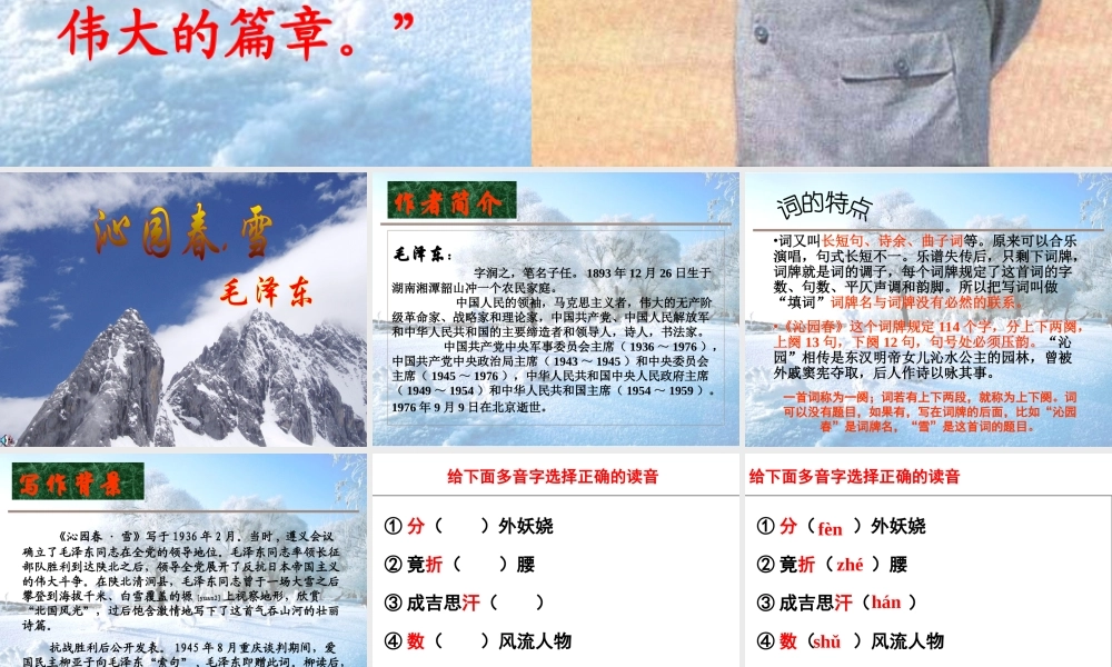 沁园春雪(教案)