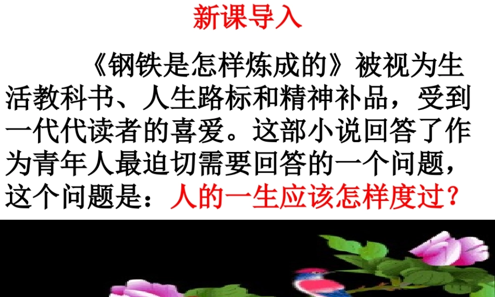 《钢铁是怎样炼成的》：摘抄和做笔记