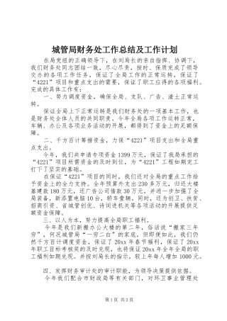 城管局财务处工作总结及工作计划