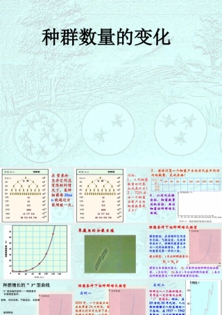 种群数量的变化