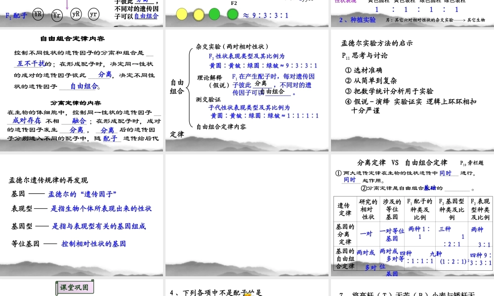 1.2《孟德尔的豌豆杂交实验》课件5